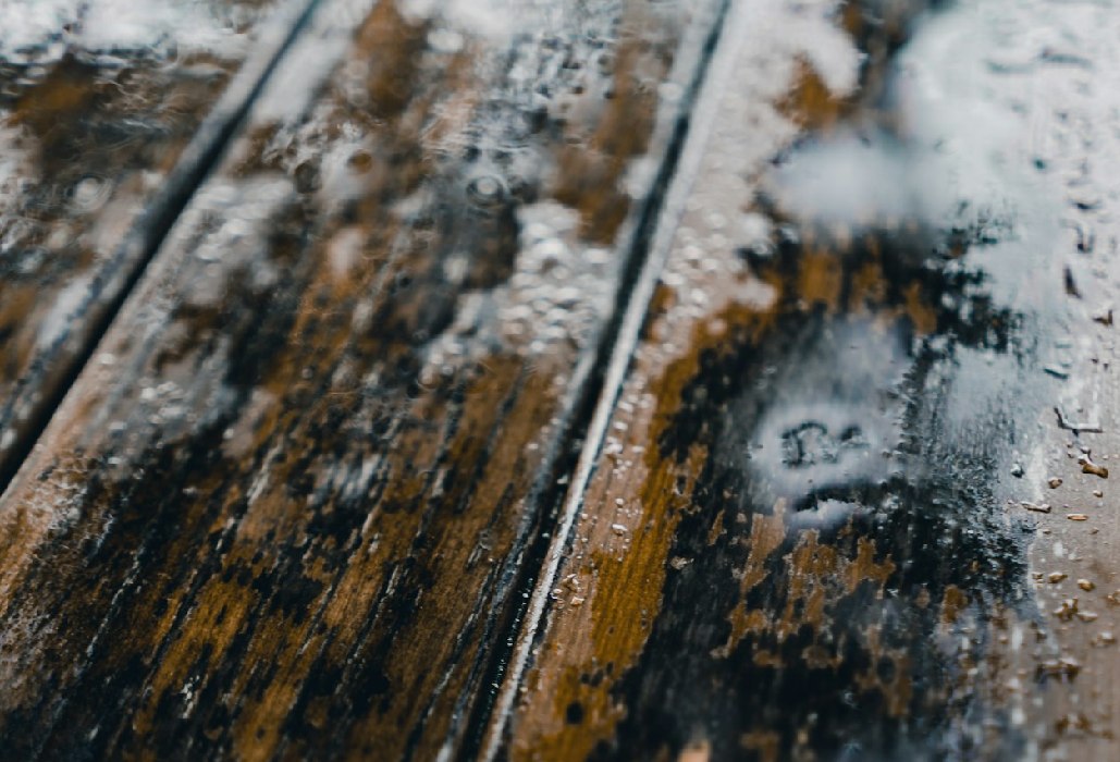 Umidità e Muffa: i Pericoli Silenziosi che Minacciano la Tua Casa (e Come Fermarli)